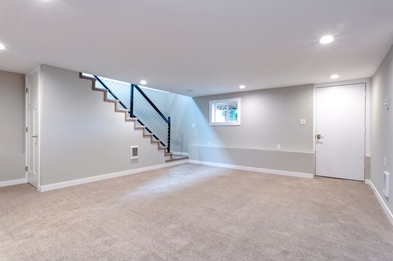 Basement Transformation